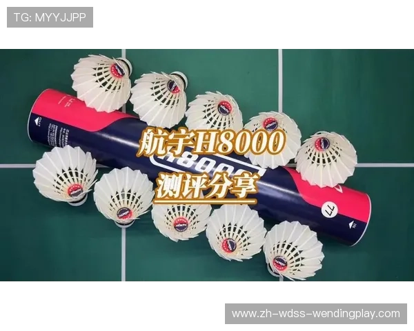 羽毛球实战测评