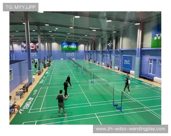 羽毛球球馆网上